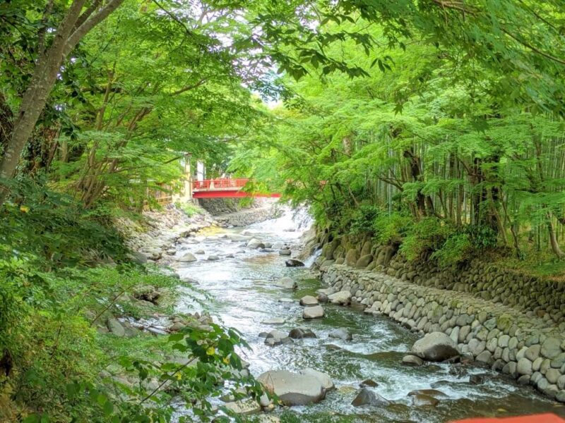 修善寺　竹林の小径　赤い橋　写真