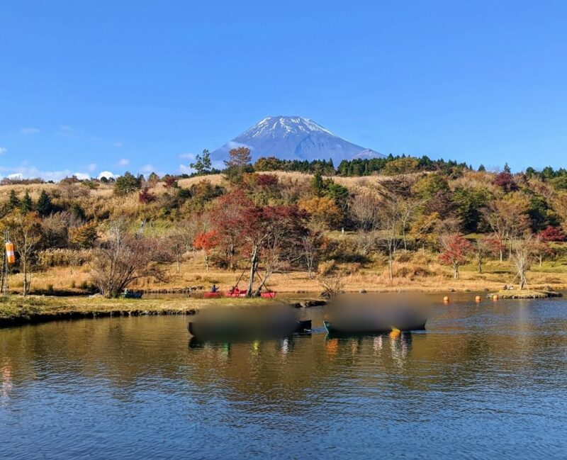 富士山こどもの国　紅葉