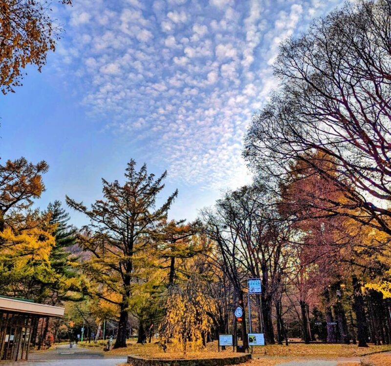 円山公園　秋