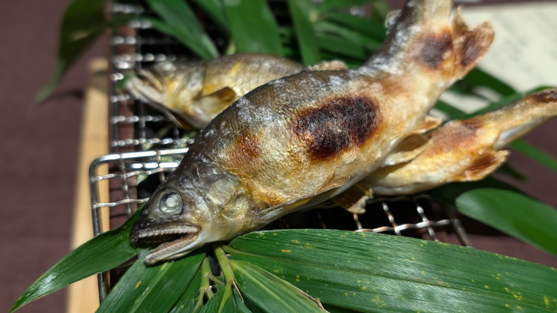 草庵秋桜 夕飯 魚 鮎