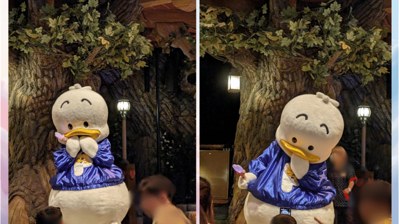 あひるのペックル サンリオ
ピューロランド